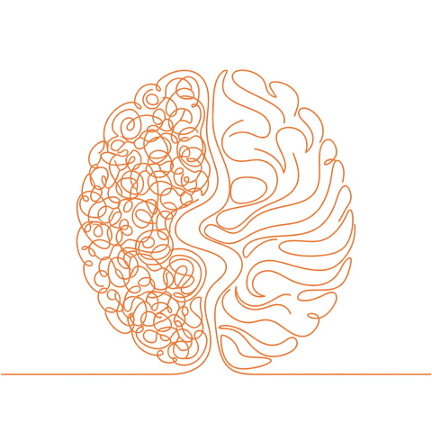 Cerebro con hemisferios contrastados: uno enredado y otro con líneas fluidas.